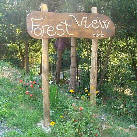 Forest View B&B Gavi Buitenkant foto