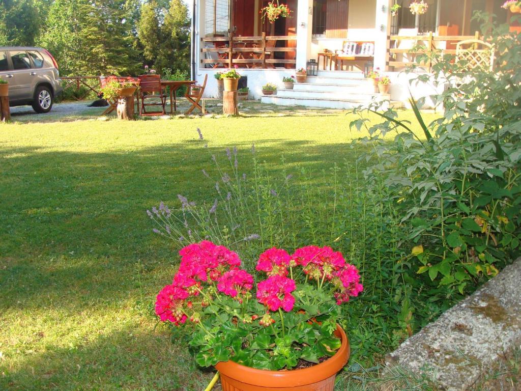 Forest View B&B Gavi Buitenkant foto