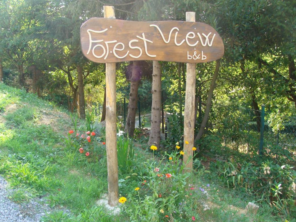 Forest View B&B Gavi Buitenkant foto